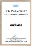 IBM Top 100 Buseness Partners - 2005